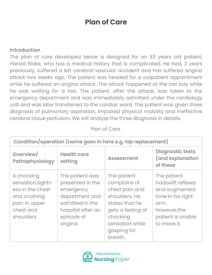 nursing care plan essay examples