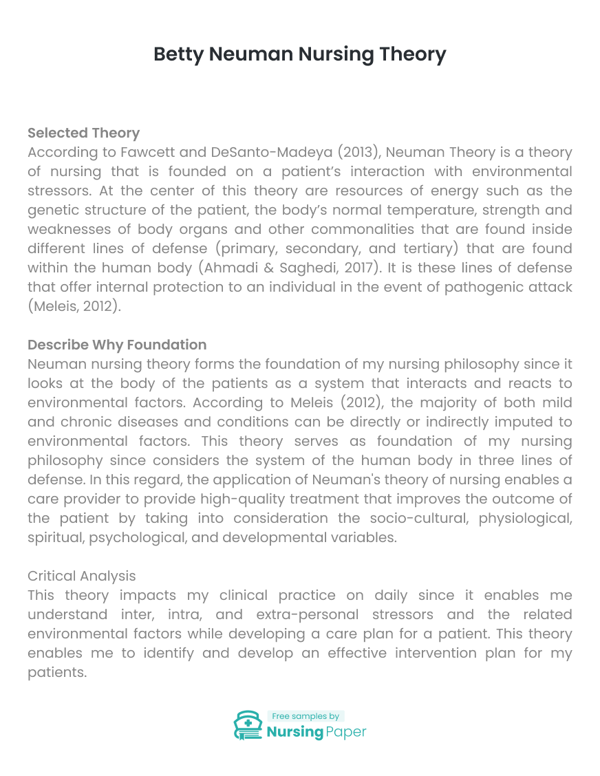 essay on nursing theory